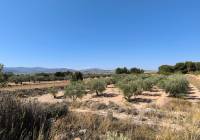 Resale - Land - Monovar - Rural location