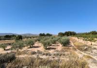 Resale - Land - Monovar - Rural location