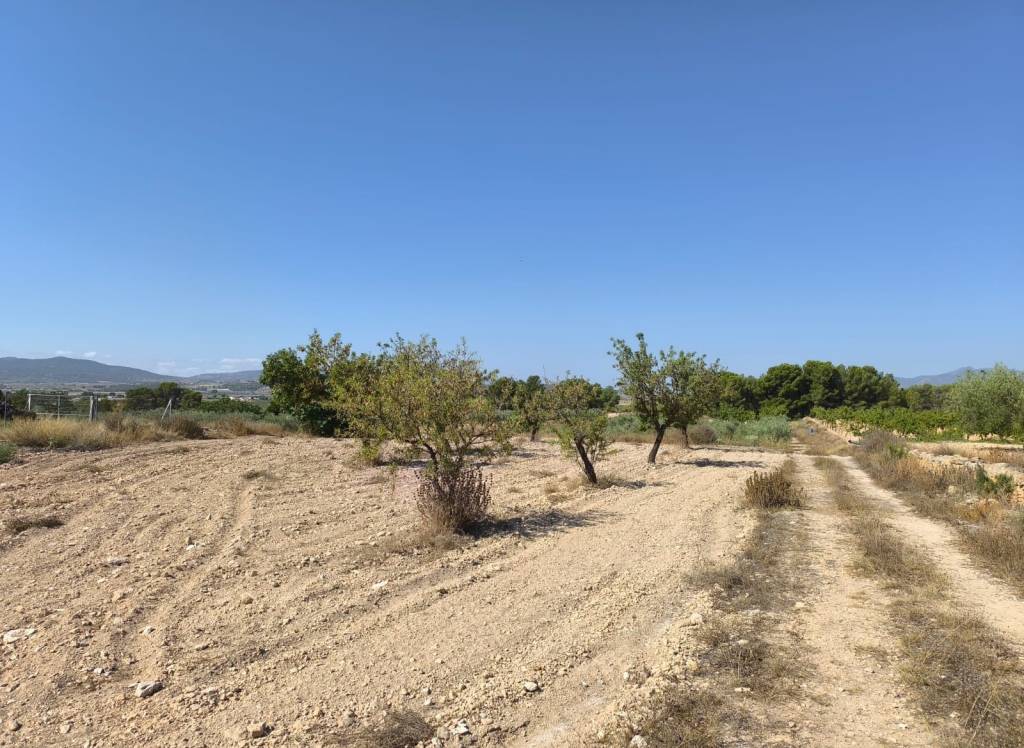 Resale - Land - Monovar - Rural location
