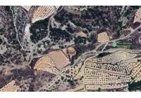 Resale - Land - Monovar - Rural location