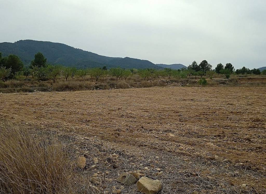 Resale - Land - Monovar