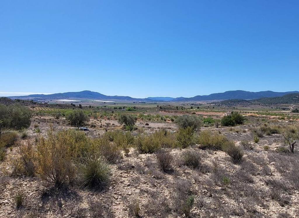 Resale - Land - Monovar