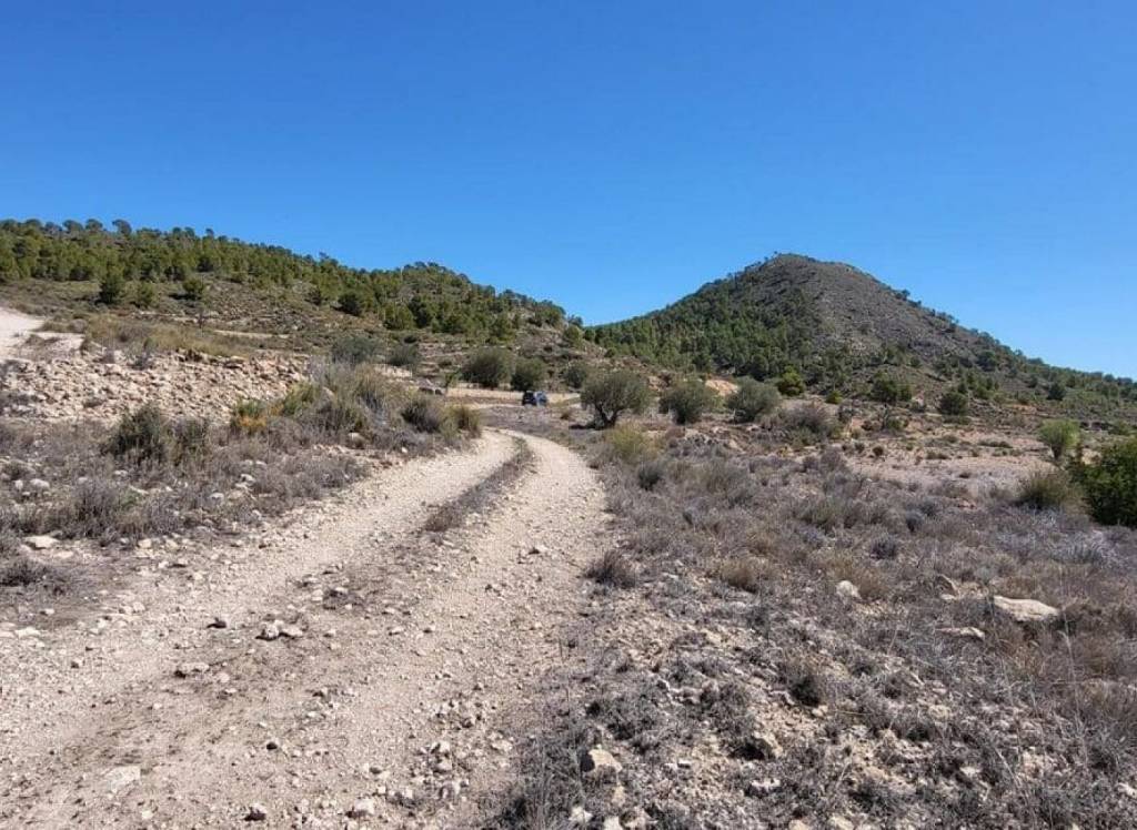 Resale - Land - Monovar