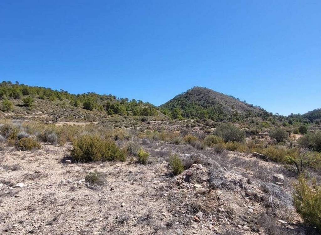 Resale - Land - Monovar