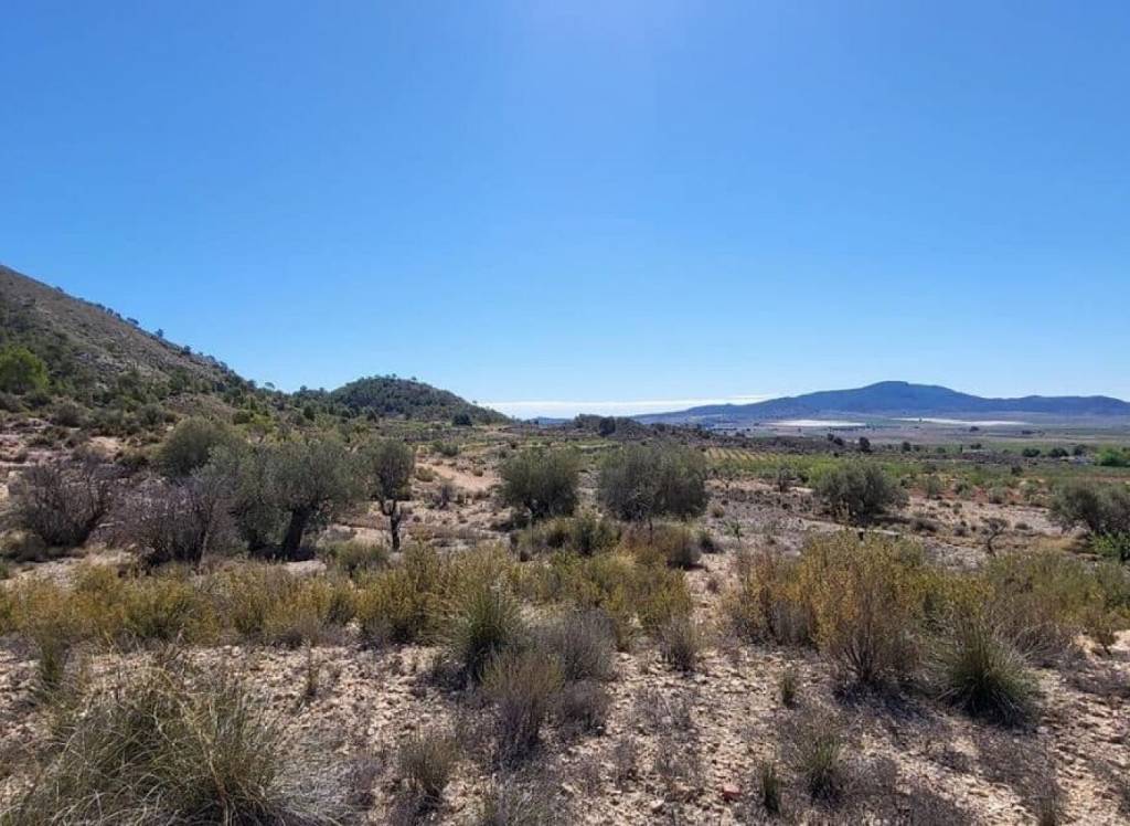 Resale - Land - Monovar