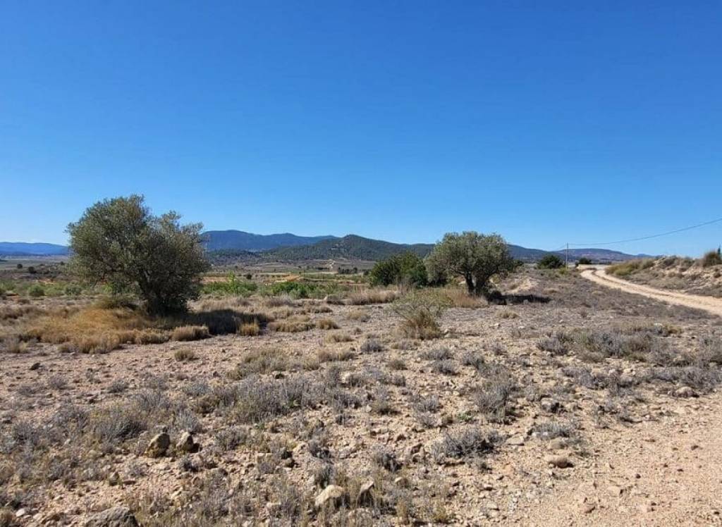 Resale - Land - Monovar