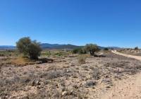 Resale - Land - Monovar