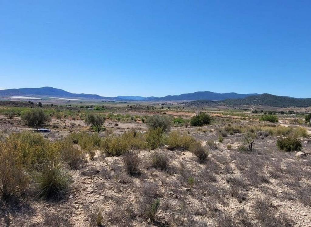 Resale - Land - Monovar