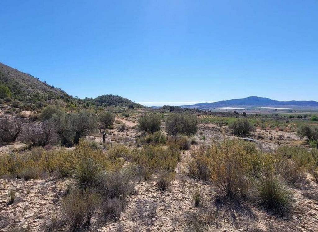 Resale - Land - Monovar