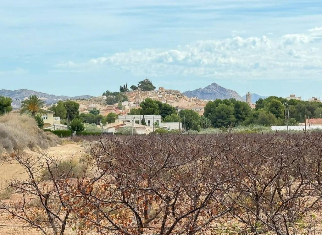 Resale - Land - Monovar