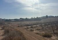 Resale - Land - Monovar