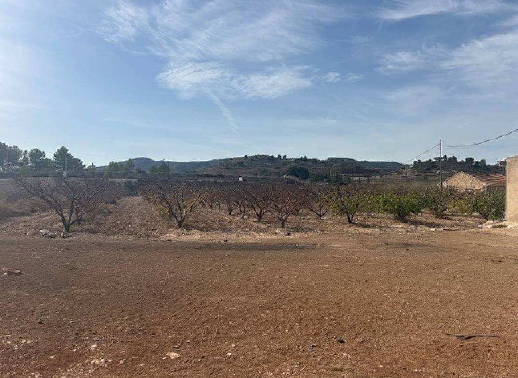 Resale - Land - Monovar