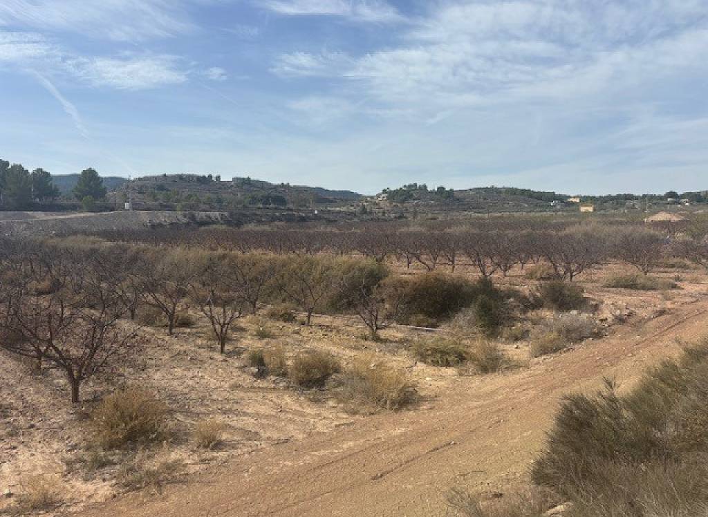 Resale - Land - Monovar