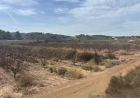 Resale - Land - Monovar