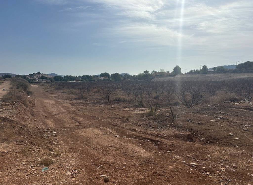 Resale - Land - Monovar