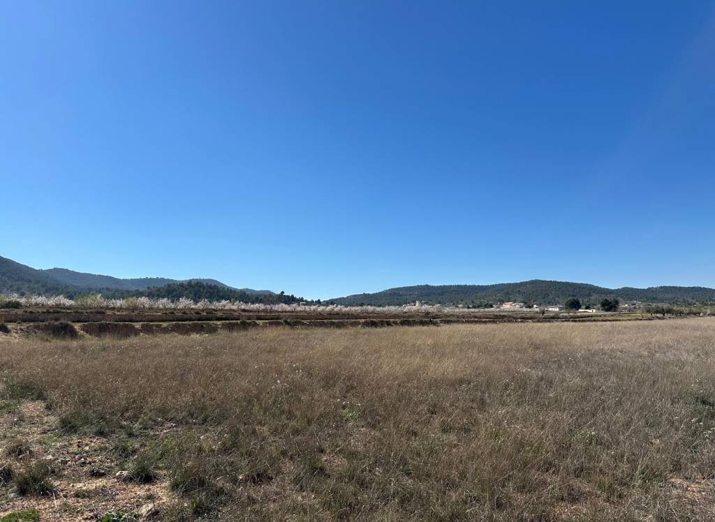 Resale - Land - Monovar