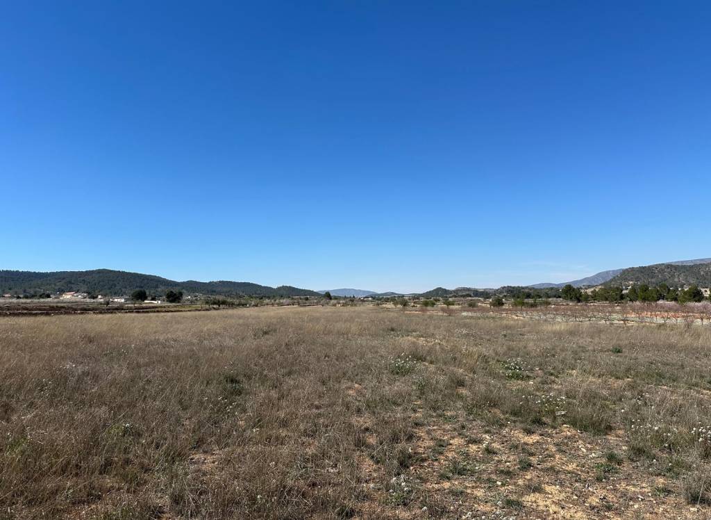 Resale - Land - Monovar