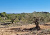 Resale - Land - Monovar