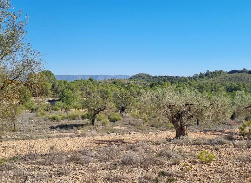 Resale - Land - Monovar