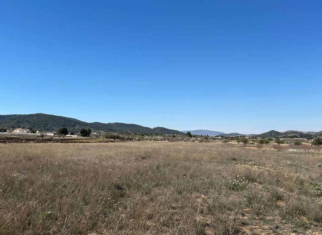 Resale - Land - Monovar