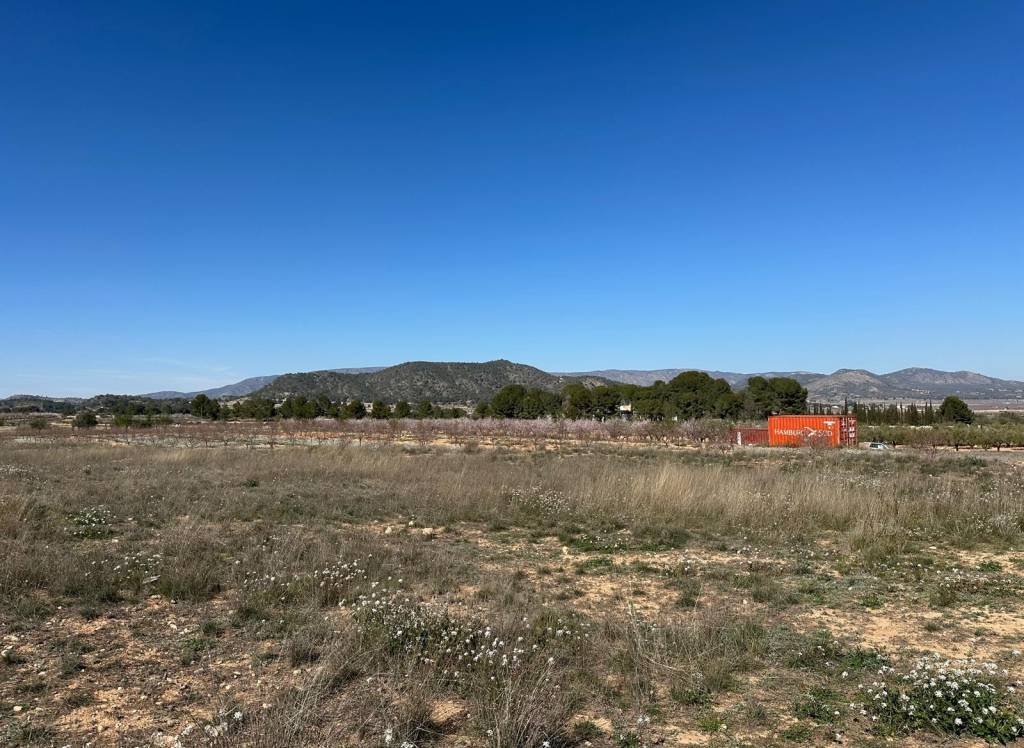 Resale - Land - Monovar