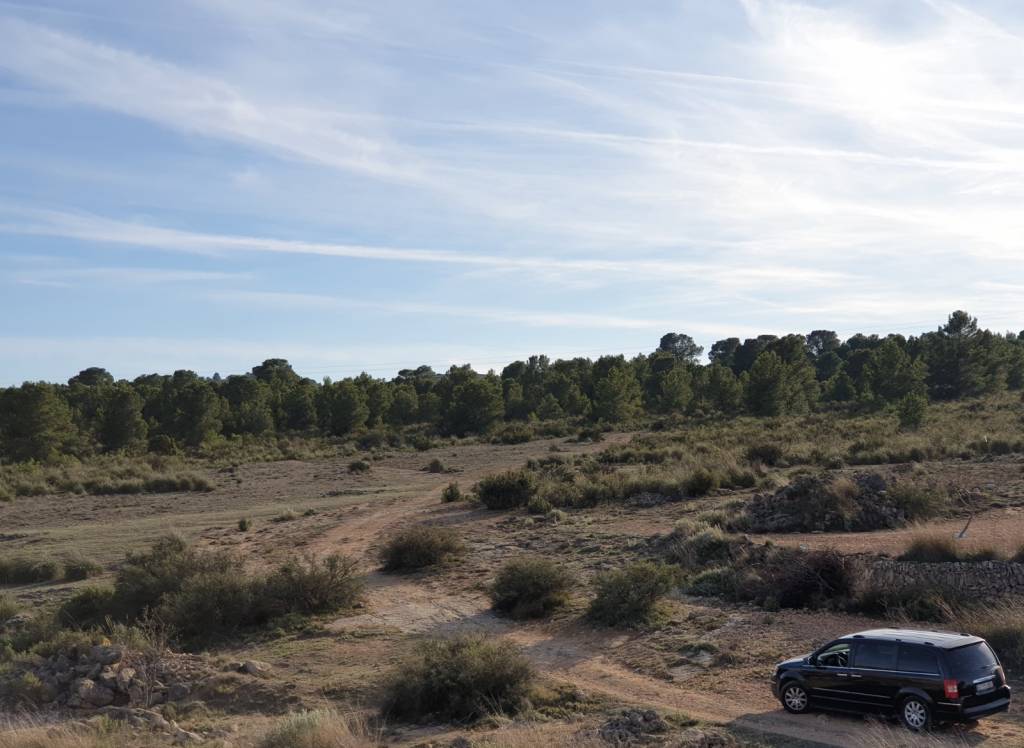 Resale - Land - Pinoso - Edge of town