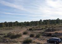 Resale - Land - Pinoso - Edge of town