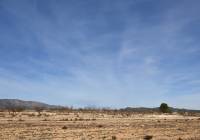 Resale - Land - Pinoso - Edge of town