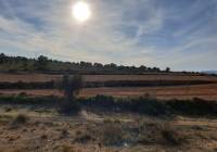 Resale - Land - Pinoso - Edge of town