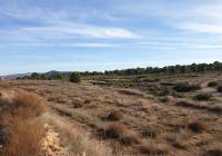 Resale - Land - Pinoso - Edge of town