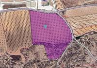 Resale - Land - Pinoso - Lel