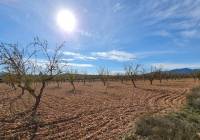 Resale - Land - Pinoso - Lel