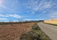 Resale - Land - Pinoso - Lel