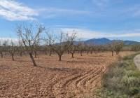 Resale - Land - Pinoso - Lel