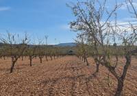 Resale - Land - Pinoso - Lel