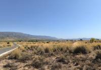 Resale - Land - Pinoso - Lel