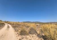 Resale - Land - Pinoso - Lel