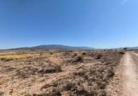 Resale - Land - Pinoso - Lel