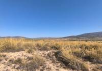 Resale - Land - Pinoso - Lel
