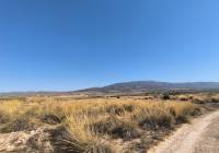 Resale - Land - Pinoso - Lel