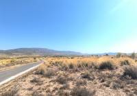 Resale - Land - Pinoso - Lel