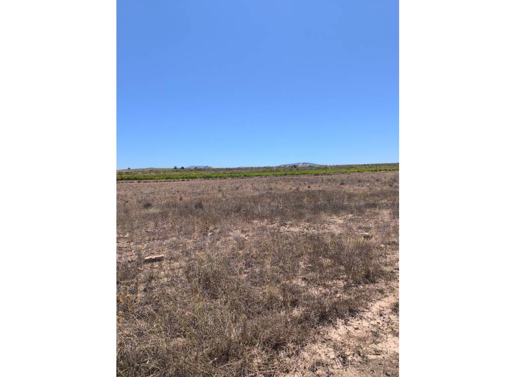 Resale - Land - Pinoso - Lel