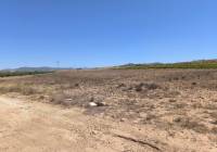 Resale - Land - Pinoso - Lel