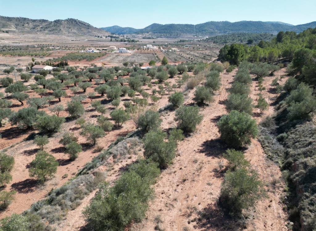 Resale - Land - Pinoso - Pinoso - El Pinós