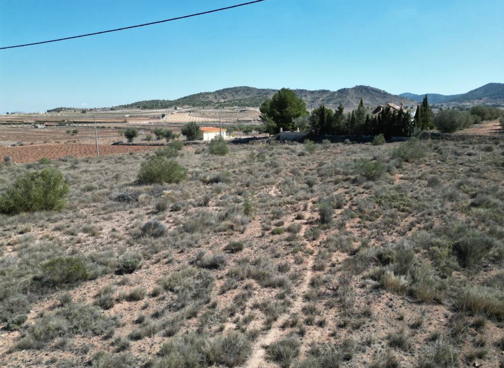 Resale - Land - Pinoso - Pinoso - El Pinós