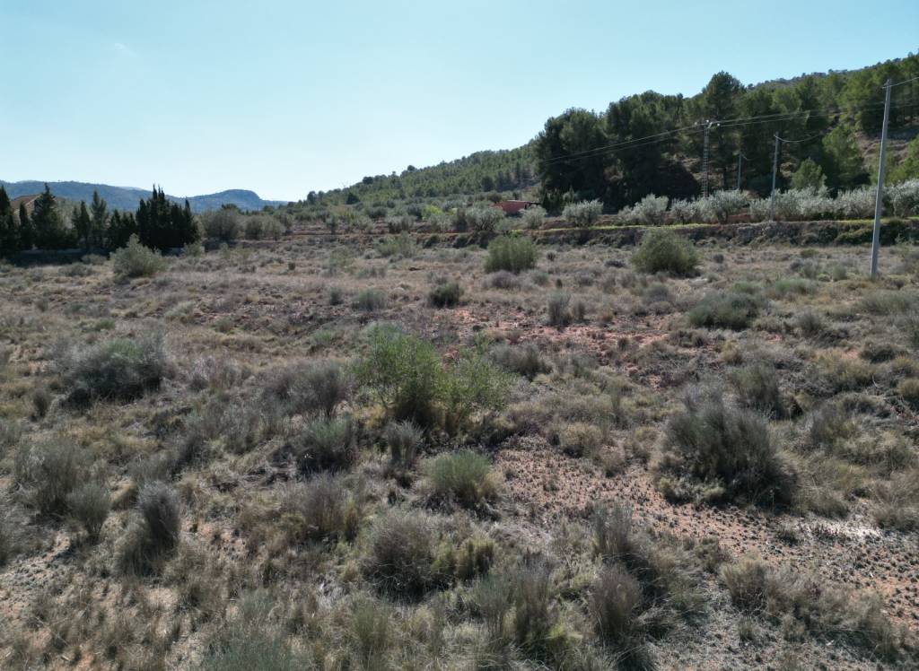 Resale - Land - Pinoso - Pinoso - El Pinós