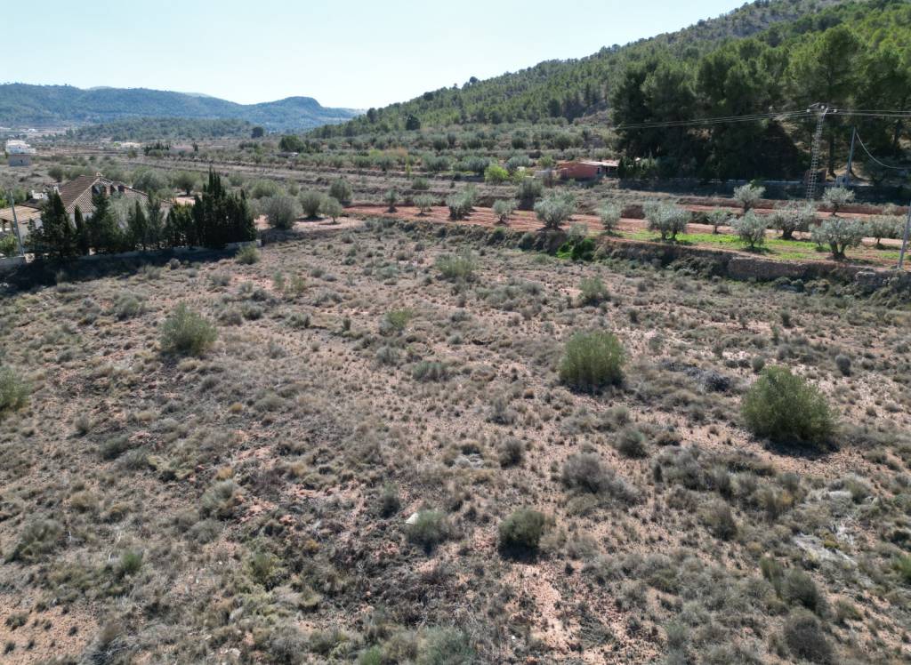 Resale - Land - Pinoso - Pinoso - El Pinós