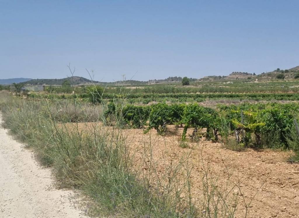 Resale - Land - Pinoso - Pinoso - El Pinós