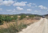 Resale - Land - Pinoso - Pinoso - El Pinós