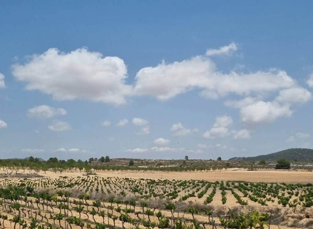Resale - Land - Pinoso - Pinoso - El Pinós